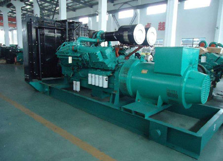 汪场镇800kw康明斯柴油发电机组